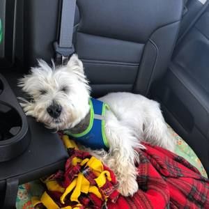 Meet your Posher, Chrissy